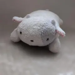 2026年最新】まつもと フリッカの人気アイテム - メルカリ