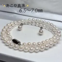 Item thumbnail for item b3fbc674-199f-4cc5-8470-033b4f20d61c