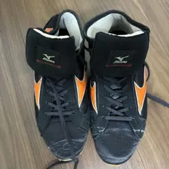 ガチンコ ファイトクラブ　2期生 斉藤一平のMizuno ボクシングシューズ 青 ガチンコ ファイトクラブ 2期生 斉藤一平のMizuno ボクシングシューズ