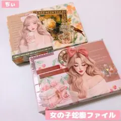 おすそ分け蛇腹ファイル 2点セット 女の子 コラージュファイル コラージュ素材