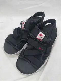 Item thumbnail for item 6e47e3c4-7495-47d0-81fe-f93bb44e4c0e