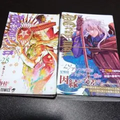 D.Gray-man [裁断済/裁断済み/自炊] 28巻＋29巻　星野 桂