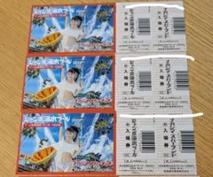 ナガシマスパーランド＆ジャンボ海水プール 3名分 - メルカリ