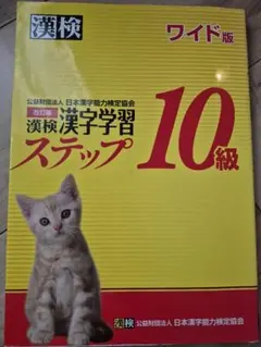 漢検漢字学習ステップ 10級 ワイド版 改訂版のサムネイル