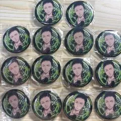 NARUTO ナルト　奈良シカマル　ホロ　缶バッジ　14点セット