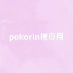 pokorin様専用