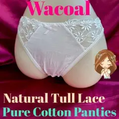 Item thumbnail for item d8dc6022-b7f8-4b14-8a7c-9acb230dd994