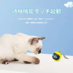 Item thumbnail for item 7261bb7e-3801-4167-a603-73f11f1da4ed