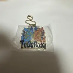 僕のヒーローアカデミア 轟焦凍 キーホルダー