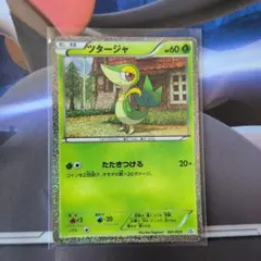 ツタージャ AR スカーレット&バイオレット 拡張パック ブラックボルト