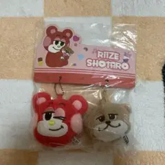 Item thumbnail for item 40475f94-c326-411d-a245-38e939aaf16a