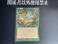 2026年最新】魔の魅惑の人気アイテム - メルカリ