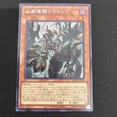 2026年最新】血樹竜姫ドラセレア シークレットの人気アイテム - メルカリ