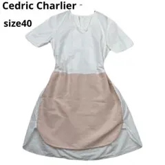 Item thumbnail for item c68ecb48-9d1a-4842-89a4-50092013d9cb