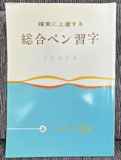 総合ペン習字（下）楷書・行書 宮田稲華（著） - メルカリ