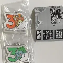 ガチャ　ポケモン30周年 メタルチャームマスコット　ヒトカゲ　フシギバナ