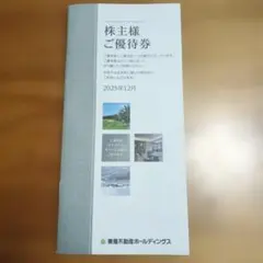 東急不動産 500株以上株主優待券 2025年12月発行