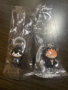 ハイキュー めじるしチャーム 日向・影山