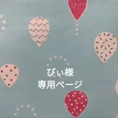 ぴぃ様　専用ページ