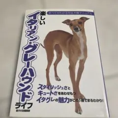 楽しいイタリアン・グレーハウンドライフ　本