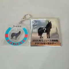 2025年G1レース優勝馬アクリルキーホルダー