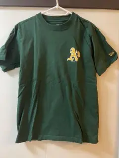 Item thumbnail for item fcb0484c-e8cc-4509-b280-e0b06707dbee