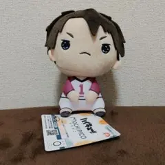 ハイキュー!!　もちぴこ　牛島若利