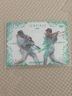 Item thumbnail for item 1395f1fd-67e8-4f46-a0cc-9478d819c288