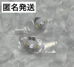 サンリオ　めじるしチャーム　ガチャガチャ　こぎみゅん