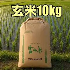 新米！令和8年栃木産コシヒカリ白米 内容量10kg - メルカリ