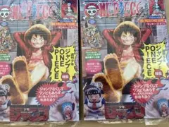 ワンピースマガジン 20号 プロモ付き モンキー・D・ルフィ雑誌2冊　新品未開封