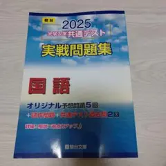 2025 共通テスト実戦問題集　国語　駿台