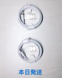 訳あり1m2本iPhone充電器ライトニングケーブルApple純正品質本日発送
