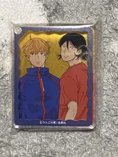 花丸 100号記念 グラッテ コロッタ りんごの実