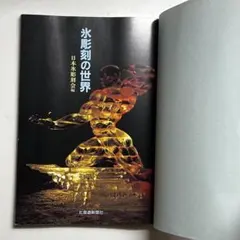 氷彫刻用 ノミ 鑿 5本セット 彫刻刀 　氷細工　古い未使用品 楽天市場】洋食用 氷ﾉﾐ 深丸 36×330【料理細工】【氷彫刻ノミ】【氷