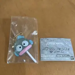 カラフルキャンディチャーム　ハンギョドン ガチャ　新品