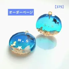 【オーダーページ】海のテーマ　レジンチャーム　天然の星砂　ダイビング　ハワイ