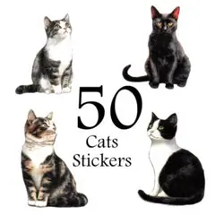 ステッカー　猫B　50種50枚　紙素材シール　ネコのシール　コラージュ素材