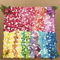 Haru工房❁⃘*.゜プロフ必読⚠️様 リクエスト 3点 まとめ商品