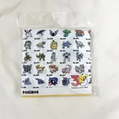 【新品】3coins エコバッグ　ポケモン30周年　スリコ