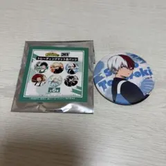 僕のヒーローアカデミア　轟焦凍