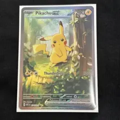 2026年最新】Pika exの人気アイテム - メルカリ