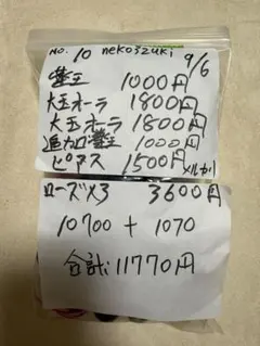 ★neko3zukiねこさんずきさん様専用★9月6日　商品番号57