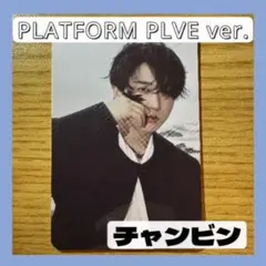 【DOIT】straykids PLATFORM PLVE VER. トレカ