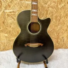 2025年最新】Zenn アコースティックギターの人気アイテム - メルカリ