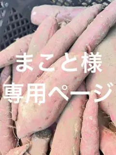 まこと様専用ページです。