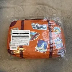 【未使用】ディズニー バケパ ブランケット 収納バッグ付【非売品】