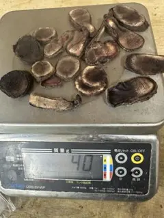 takuro様 リクエスト 2点 まとめ商品