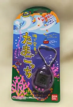 海で発見！たまごっち スケルトンパープル クリアパープル 紫 その130