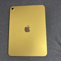 iPad A16 Wi-Fiモデル 128GB ほぼ未使用品　ケース２つ付き